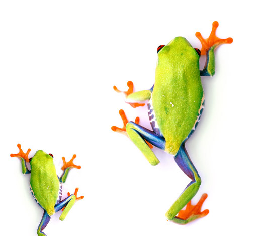 Galigraph Design Barrie Ontario, See what Great Graphic Design can do for you